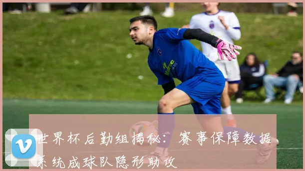 世界杯后勤组揭秘：赛事保障数据系统成球队隐形助攻