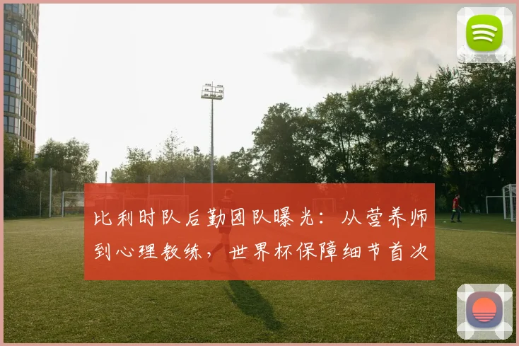 比利时队后勤团队曝光：从营养师到心理教练，世界杯保障细节首次公开