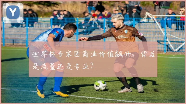 世界杯专家团商业价值飙升，背后是流量还是专业？