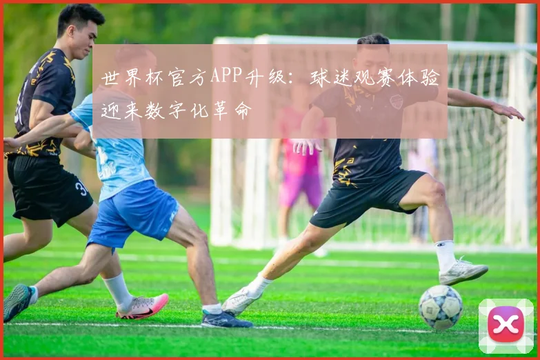 世界杯官方APP升级：球迷观赛体验迎来数字化革命