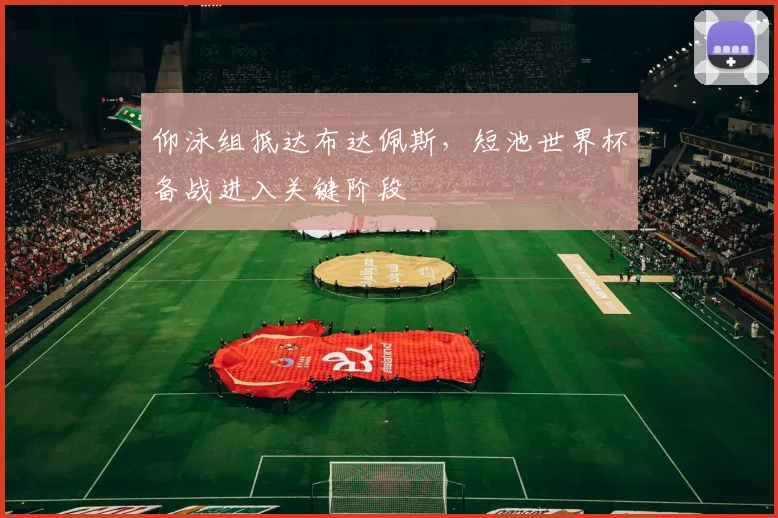 仰泳组抵达布达佩斯，短池世界杯备战进入关键阶段