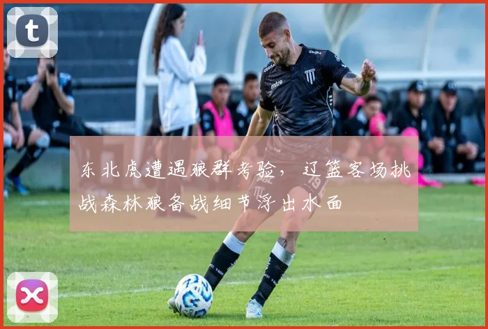 东北虎遭遇狼群考验，辽篮客场挑战森林狼备战细节浮出水面